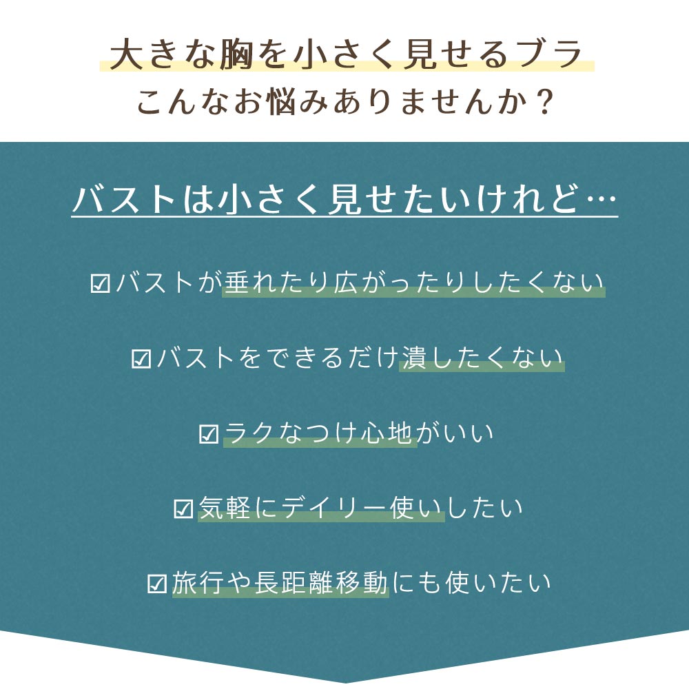 小さく見せる ギンガムチェック フリル ノンワイヤー ブラジャー&ショーツ (グラマーサイズ)