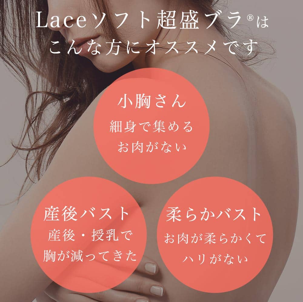 【プライスダウン】Lace ソフト 超盛ブラ(R) 単品ブラジャー