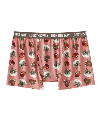 可愛らしいノルウェージャンフォレストキャットといちごチョコレートのイラストをぎゅっと詰め込んだメンズショーツです。伸縮性のある柔らかい生地はサラリとした肌触りのはき心地で、デイリーに使いやすいボクサータイプ。前開き仕様なので股の部分にマチがあり、少しゆったりした形になっています。CHOCO CAT メンズ ボクサーショーツ (前開き)