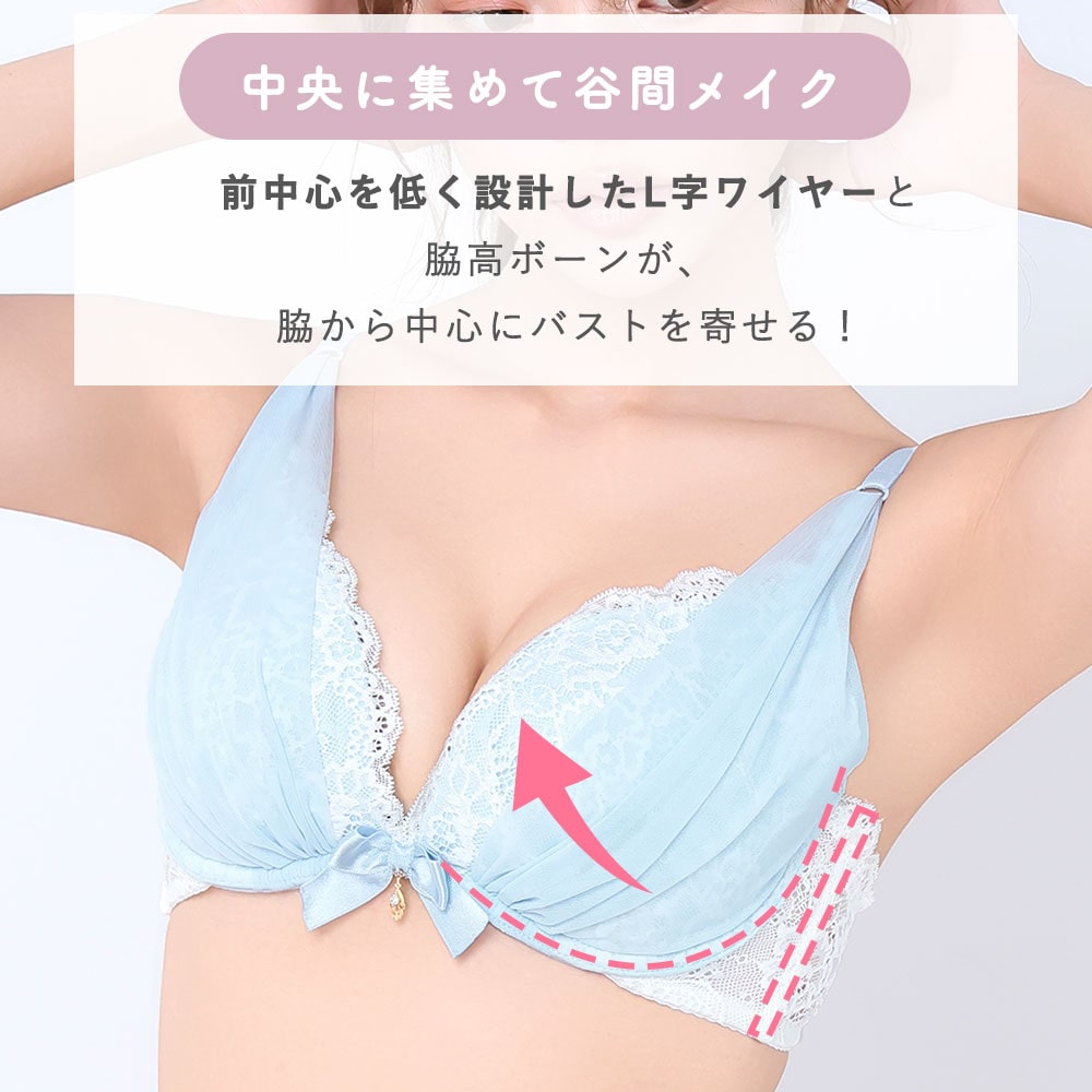 【WEB限定】シアーリュクス(R) ブラジャー&ショーツ