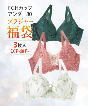 【WEB限定】グラマーサイズ ブラジャー おまかせ3枚セット 福袋 (F80,G80,H80)