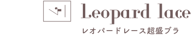 ピックアップアイテム：04 レオパードレース超盛ブラ