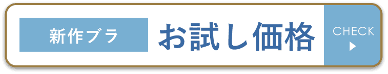 お試し価格