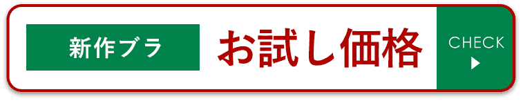 新作お試し価格