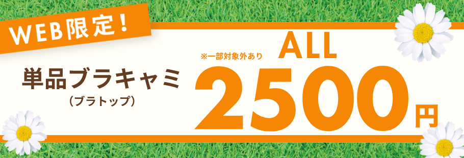 WEB限定！単品ブラキャミ（ブラトップ）ALL2,500円