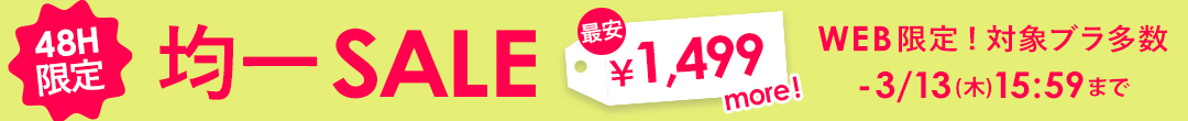 WEB限定 48時間限定 均一SALE(ヘッダー画像)