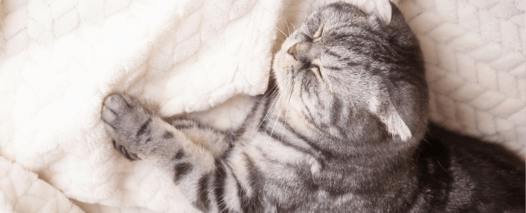 最近よく聞く「リカバリーウェア」ってなに？期待できる効果を解説