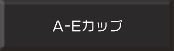 AカップBカップCカップDカップEカップのブラジャーはこちら