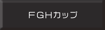 FカップGカップHカップのブラジャーはこちら