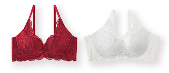 毎日身につけられる当店人気No.1ブラシリーズ