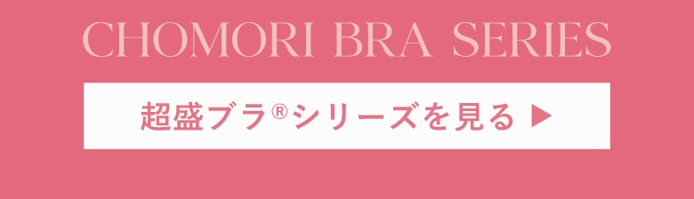超盛ブラ(R)シリーズを見る